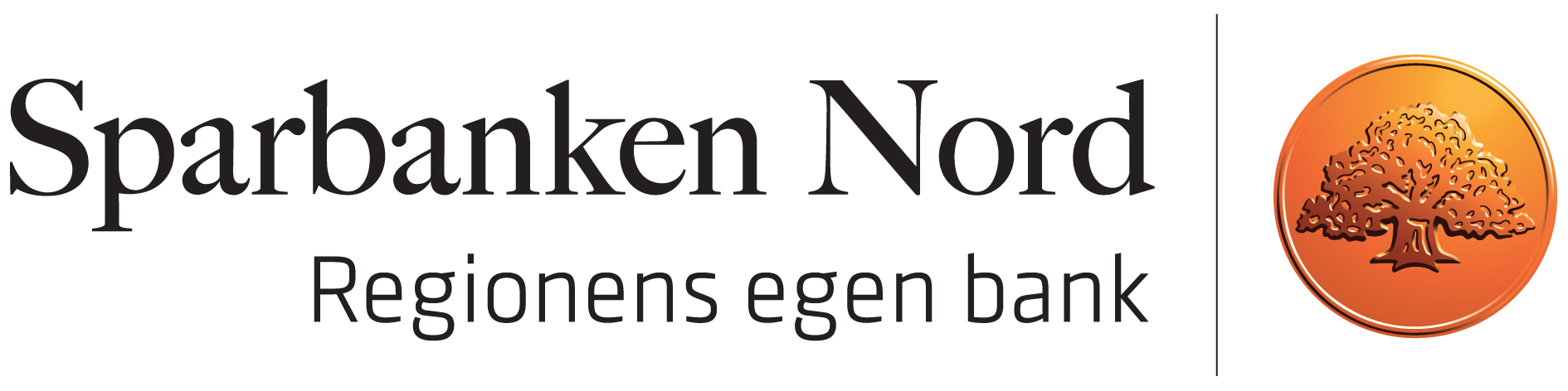 Logotype_Norran