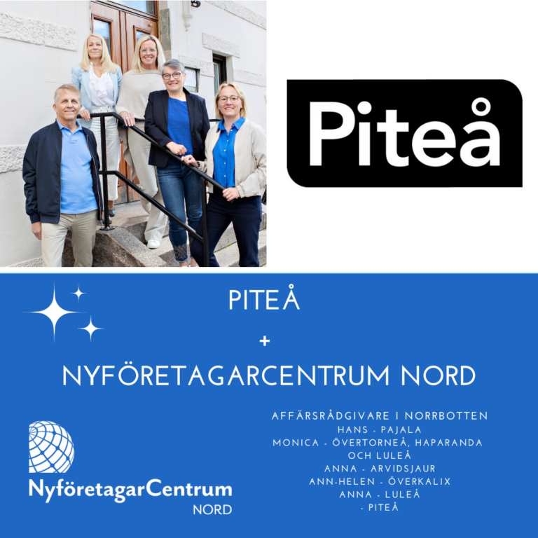 Läs mer om artikeln Nyföretagarcentrum etablerar sig i Piteå
