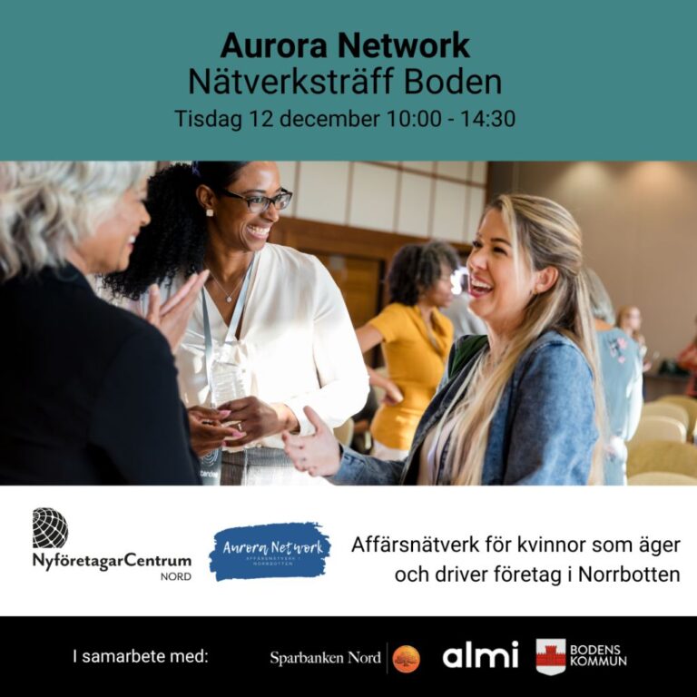 Läs mer om artikeln 12/12 Nätverksträff med Aurora Network Boden