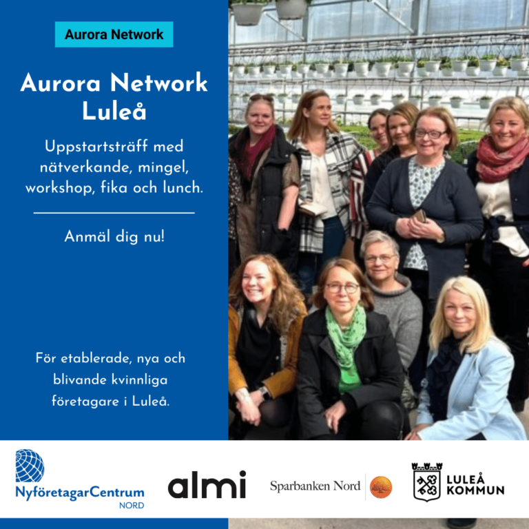 Läs mer om artikeln 11/6 Aurora Network nätverksträff – Luleå